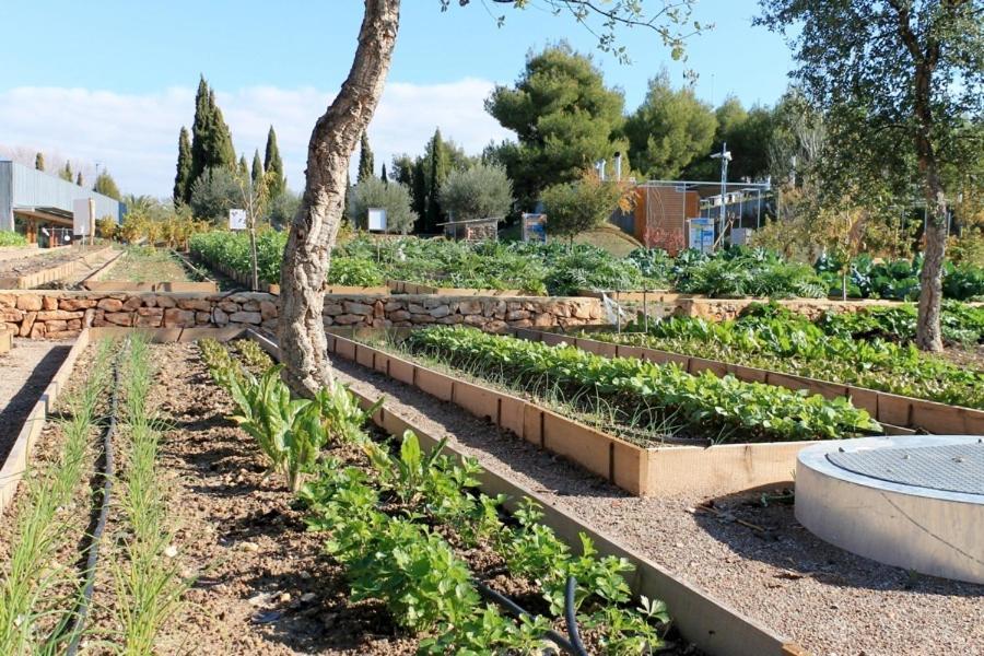 Centro de Agroecologia y Medio Ambiente de Murcia Bullas Exterior foto